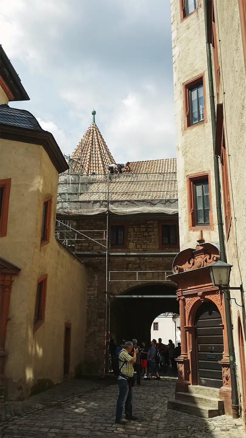 Copper roof structure with vertical supports viewed from above with scaffolding and trees in background.
